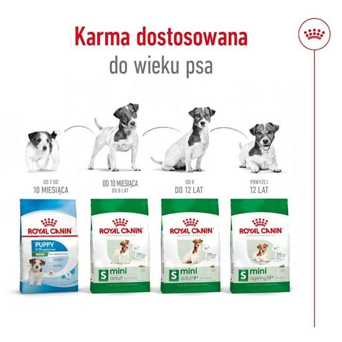 V3H9B2285AA50C5CD2DD1565D097745F5D3R4930389P3