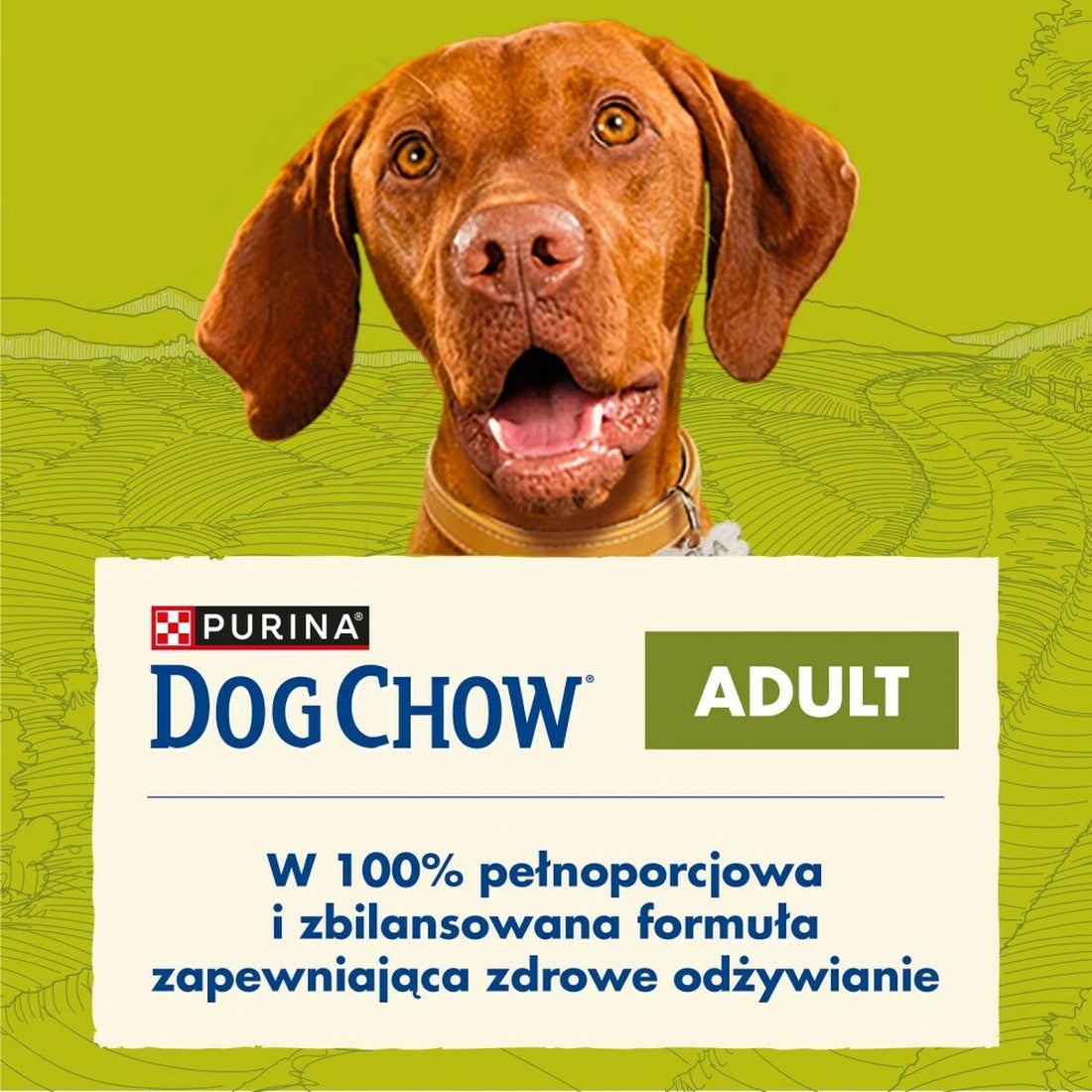 V3HDE44B6A7C0BFDA9244F9B35E4B086EFCR5061158P1